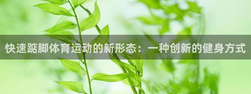 球客岛：快速踮脚体育运动的新形态：一种创新的健身方式