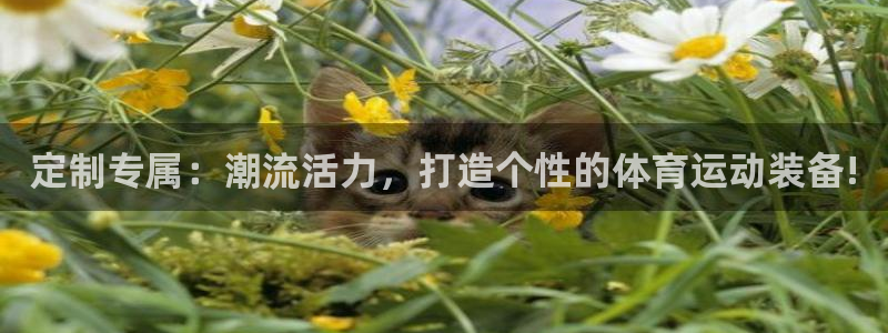 球客岛：定制专属：潮流活力，打造个性的体育运动装备!