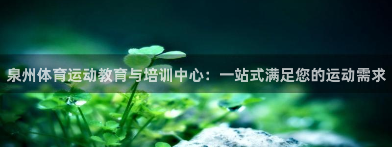球客岛：泉州体育运动教育与培训中心：一站式满足您的运动需求
