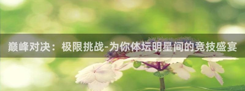球客岛：巅峰对决：极限挑战-为你体坛明星间的竞技盛宴