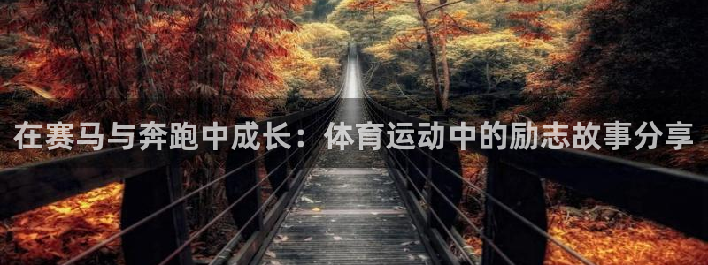 球客岛：在赛马与奔跑中成长：体育运动中的励志故事分享