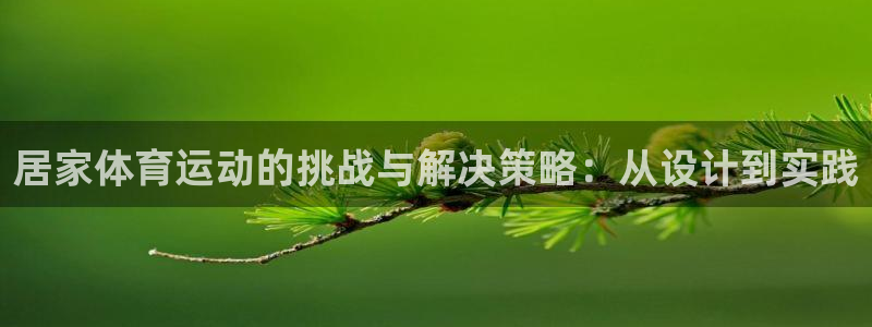 球客岛：居家体育运动的挑战与解决策略：从设计到实践