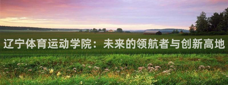 球客岛：辽宁体育运动学院：未来的领航者与创新高地