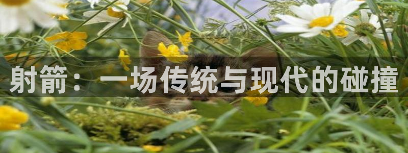 球客岛：射箭：一场传统与现代的碰撞